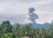 Gunung Dukono Erupsi, Semburkan Abu Vulkanik Setinggi 1.200 Meter